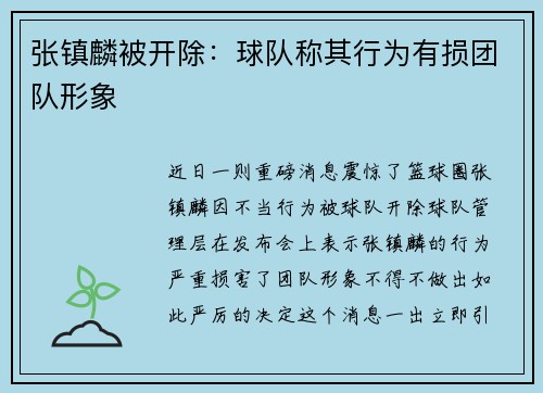 张镇麟被开除：球队称其行为有损团队形象