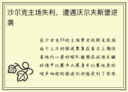 沙尔克主场失利，遭遇沃尔夫斯堡逆袭
