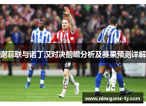 谢菲联与诺丁汉对决前瞻分析及赛果预测详解